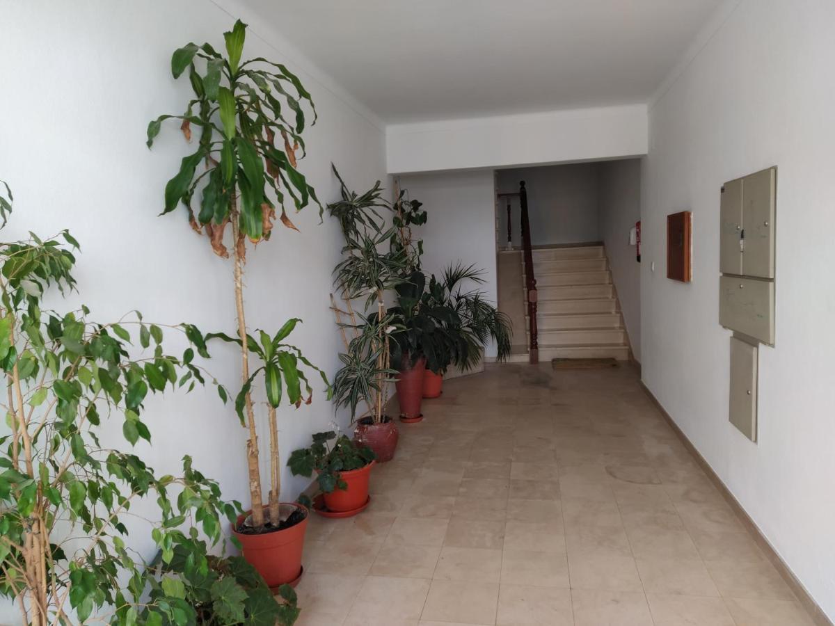 Apartamentos Bau-Doce Cercal do Alentejo Luaran gambar